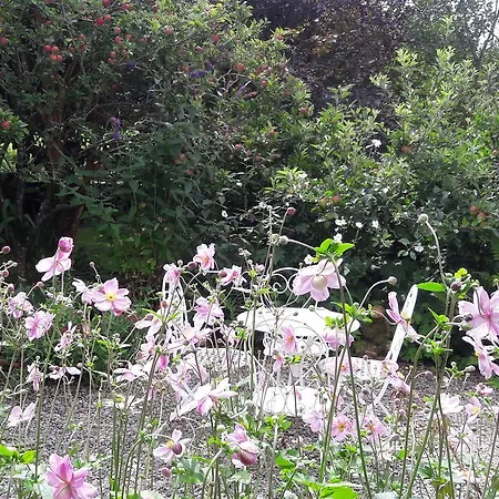 Lough Hyne Bed & Breakfast Skibbereen